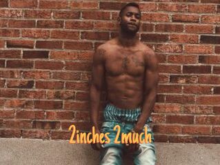 2inches_2much
