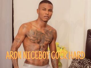 ARON_NICEBOY_COCK_HARD