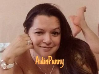 AidinPunny