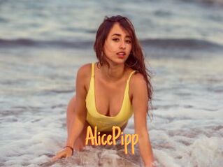 AlicePipp