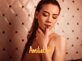 AmiliaEcho