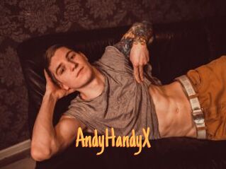 AndyHandyX