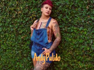 AndyPulido