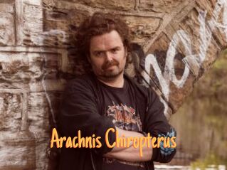 Arachnis_Chiropterus