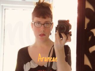 Araneae