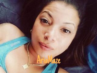 Aria_Maze