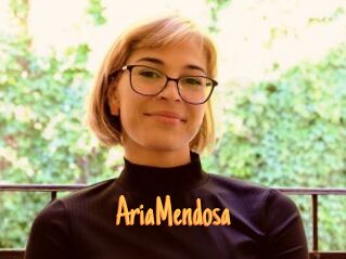 AriaMendosa