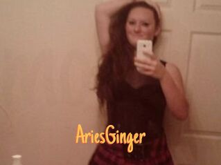 AriesGinger