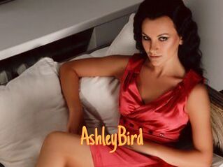 AshleyBird