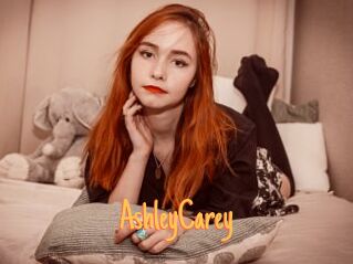 AshleyCarey Mobile Porno