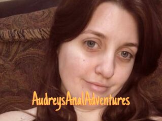 AudreysAnalAdventures