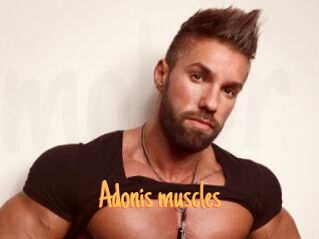 Adonis_muscles