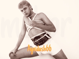 Agnidush66