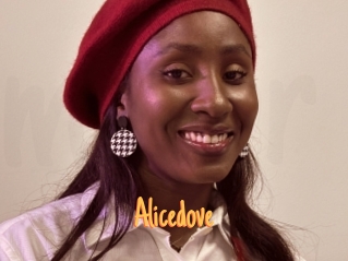 Alicedove