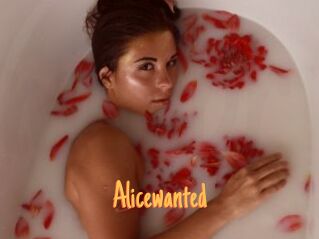 Alicewanted