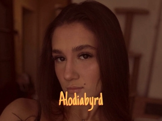 Alodiabyrd