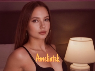 Ameliatek