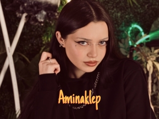 Aminaklep