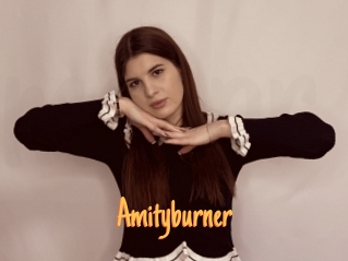 Amityburner