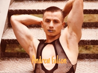 Andrew_falcon