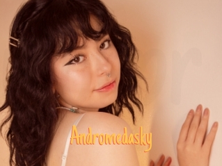 Andromedasky