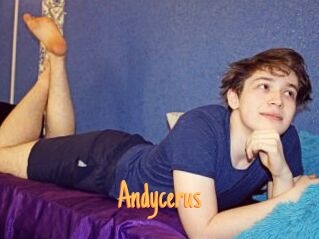 Andycerus