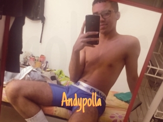 Andypolla