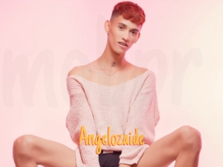 Angelozaide