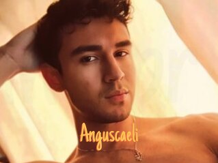 Anguscaeli