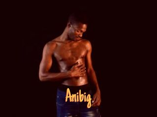 Anibig