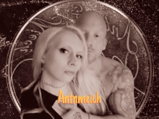 Antnmeich