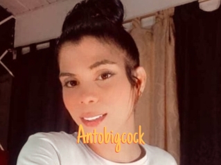 Antobigcock