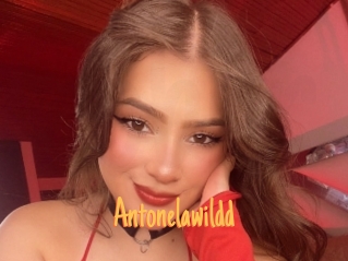 Antonelawildd
