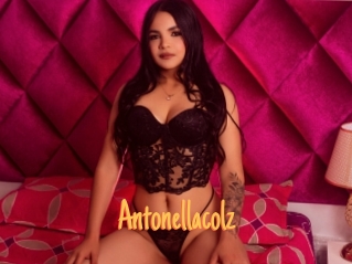 antonellacolz Mobile Porno