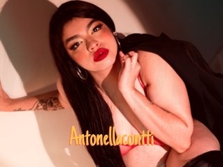 Antonellacontti