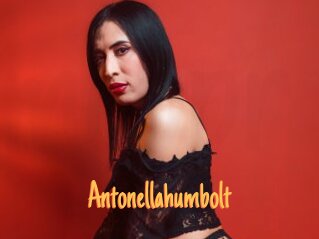 Antonellahumbolt