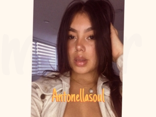 Antonellasoul