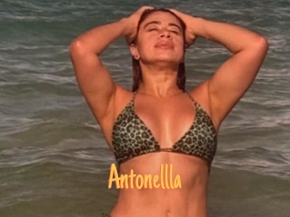 Antonellla