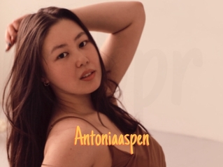 Antoniaaspen