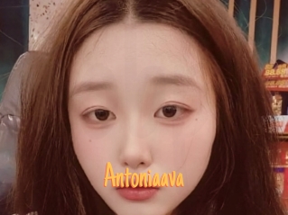 Antoniaava
