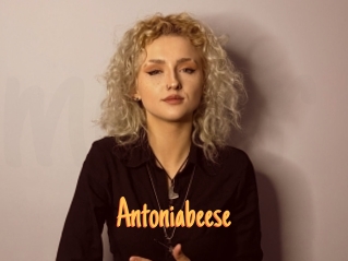 Antoniabeese