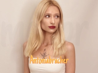 Antoniabracher