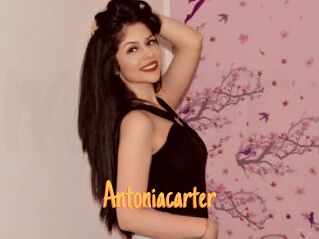 antoniacarter Mobile Porno