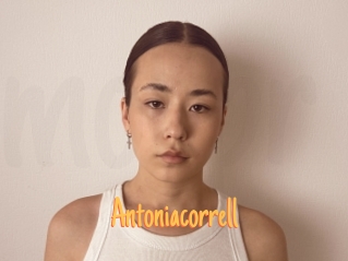 Antoniacorrell