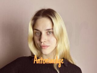 Antoniaedge
