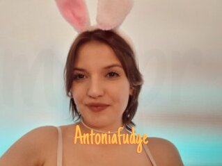 Antoniafudge