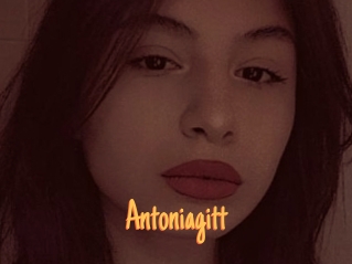 Antoniagitt