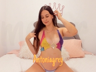 Antoniagrey