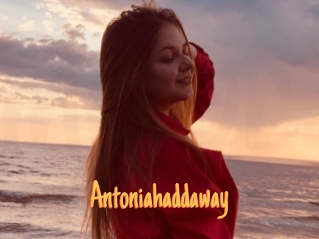 Antoniahaddaway