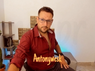 Antonywesk